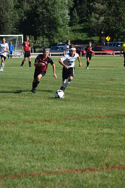 通过对双方 通过对双方