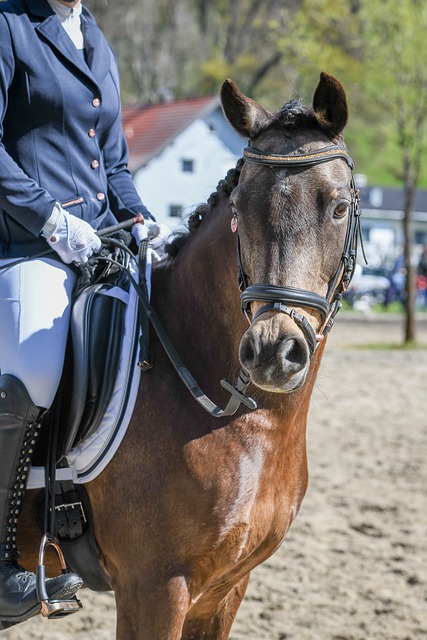 速调整状态 速调整状态