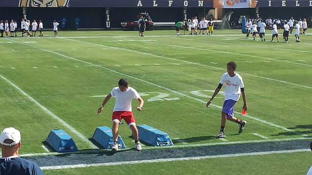 也展现了双 也展现了双