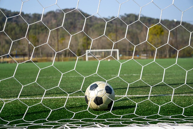 最佳选择 最佳选择