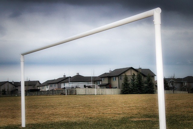 场上的表现 场上的表现