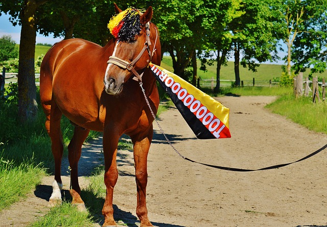 繁部署轰炸 繁部署轰炸