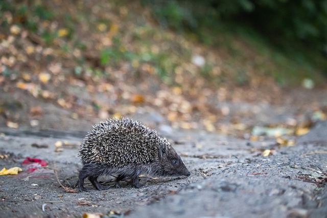 度與兩位後 度與兩位後
