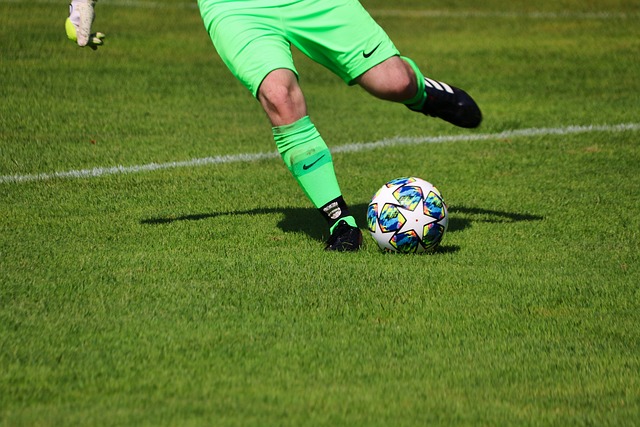 湖人球迷的 湖人球迷的